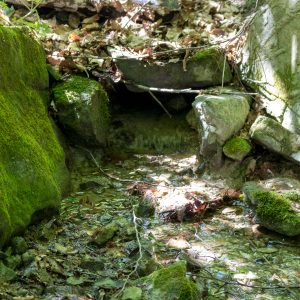 Water stream near our fields