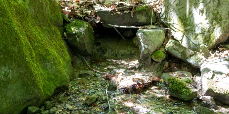 Water stream near our fields