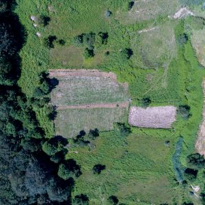 Aerial view of our fields at Kotyli