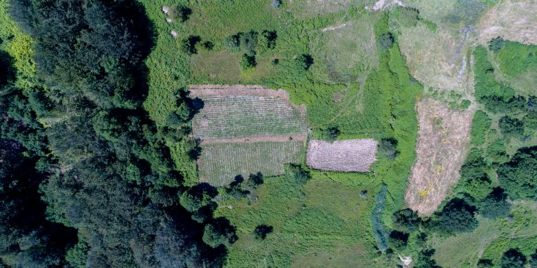 Aerial view of our fields at Kotyli