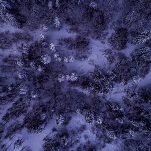 Aerial view of our fields covered in snow in the winter