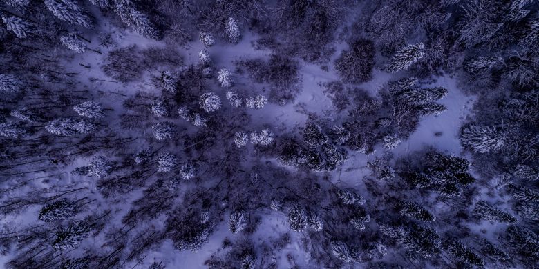 Aerial view of our fields covered in snow in the winter