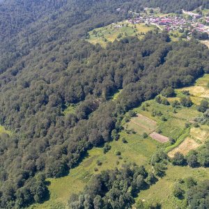 Grammos Mountains Aerial View of our tea fields