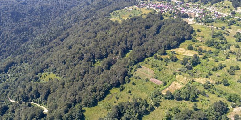 Grammos Mountains Aerial View of our tea fields