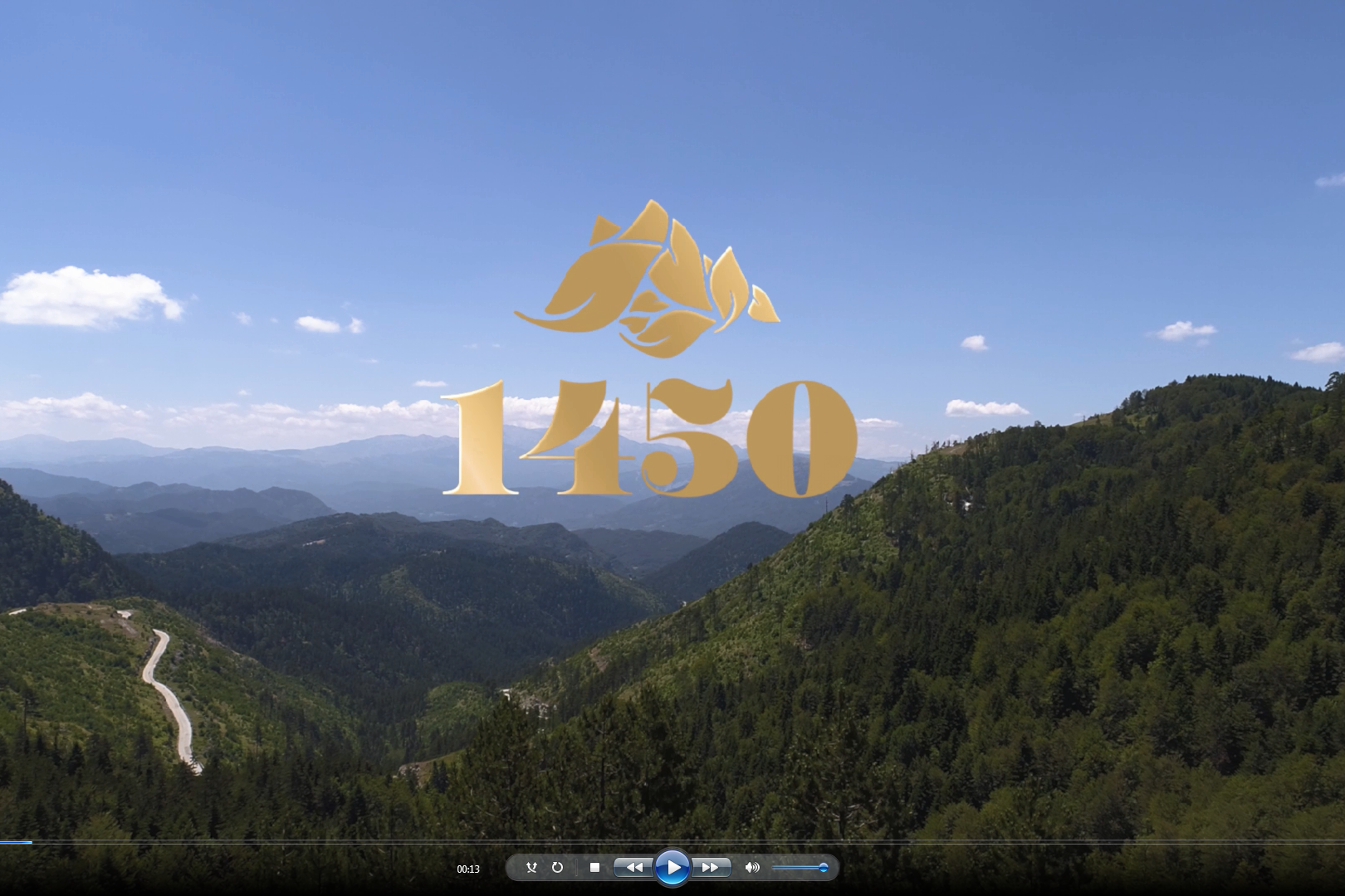 1450 mountain view and logo