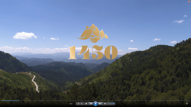 1450 mountain view and logo