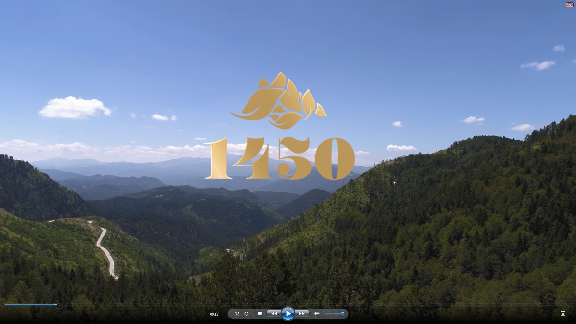 1450 mountain view and logo
